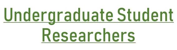 Undergraduate Student Researchers